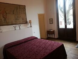 Little Garden Donatello