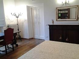 Little Garden Donatello