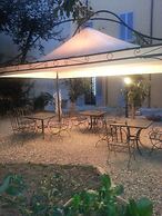 Little Garden Donatello