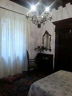 Little Garden Donatello