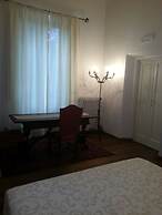 Little Garden Donatello