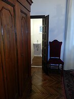 Little Garden Donatello