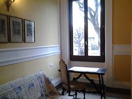 Little Garden Donatello