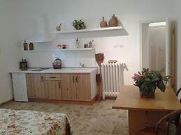 Little Garden Donatello