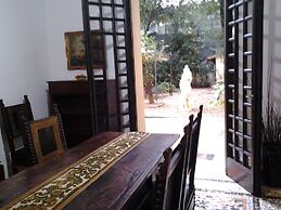 Little Garden Donatello