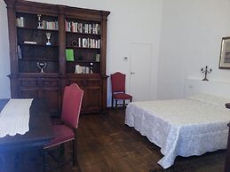 Little Garden Donatello