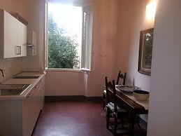 Little Garden Donatello