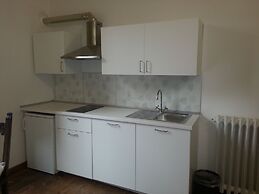 Little Garden Donatello