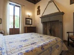 Little Garden Donatello