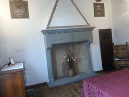 Little Garden Donatello