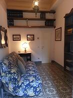 Little Garden Donatello