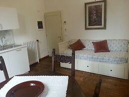 Little Garden Donatello