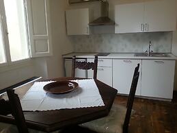 Little Garden Donatello