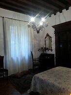 Little Garden Donatello