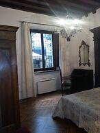 Little Garden Donatello