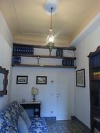 Little Garden Donatello