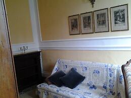 Little Garden Donatello