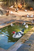 Pousada Campos dos Holandeses