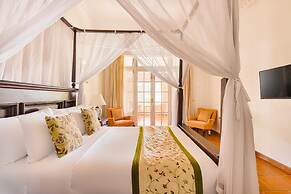 Strathdon by Zinc Journeys