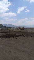 Zan-Seyoum Hotel