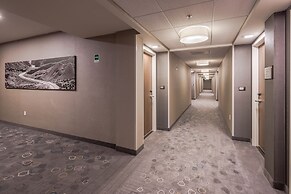 Courtyard by Marriott Chihuahua