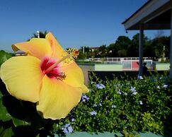The Cabin at Long Mountain Country Club