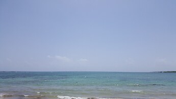 Ocho Rios Villa at Coolshade IV