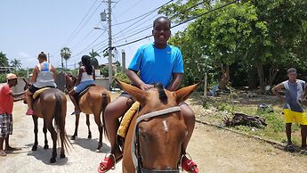 Ocho Rios Villa at Coolshade IV