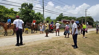 Ocho Rios Villa at Coolshade IV