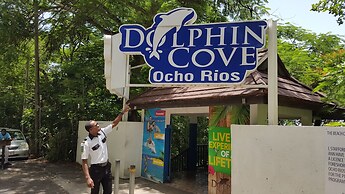 Ocho Rios Villa at Coolshade III