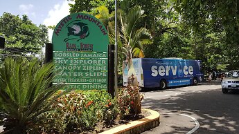 Ocho Rios Villa at Coolshade III