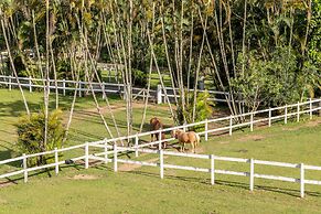 Locanda Della Mimosa