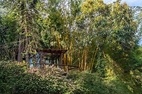 Locanda Della Mimosa