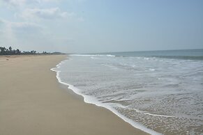 Betelnut Inn Mrkt by SPLENOR