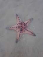 PAN Beachfront Resort Krabi