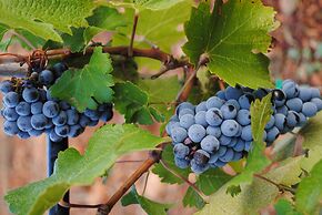 Weingut & Landhotel Can Davero