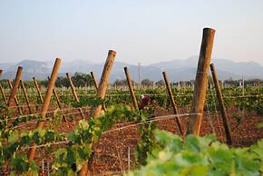 Weingut & Landhotel Can Davero