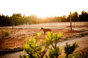 Weingut & Landhotel Can Davero