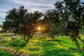 Weingut & Landhotel Can Davero