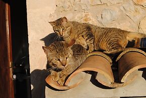 Weingut & Landhotel Can Davero