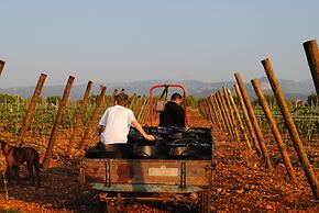 Weingut & Landhotel Can Davero