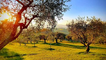 Il Querceto - B&B e Appartamenti Vacanze