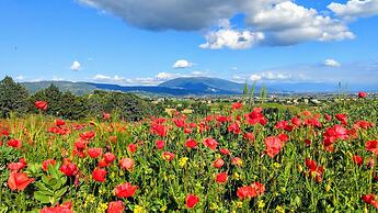 Il Querceto - B&B e Appartamenti Vacanze