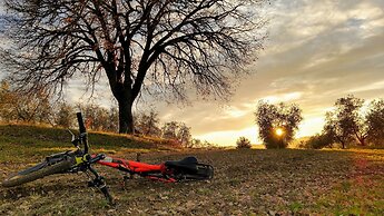 Il Querceto - B&B e Appartamenti Vacanze