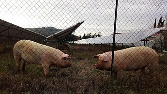 Il Querceto - B&B e Appartamenti Vacanze