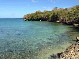 Angel Fish Cove