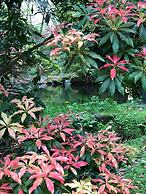 Casa Grande de Fuentemayor