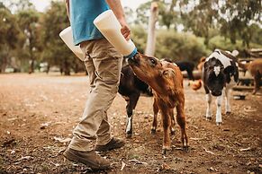 Margaret River Holiday Cottages