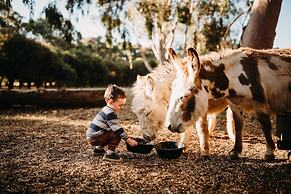 Margaret River Holiday Cottages