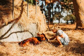Margaret River Holiday Cottages